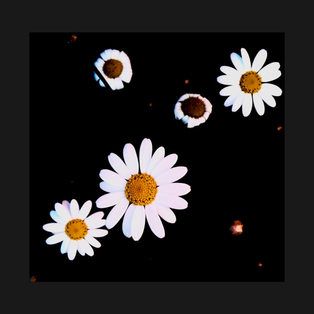 White And Yellow Flowers In Dark Theme by Formoon