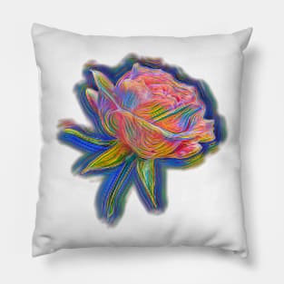 Beautiful Multicolor Rose Pillow