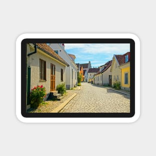 A Walk Through Historic Visby, Sweden Magnet