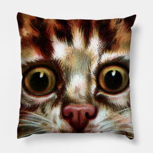 Meow Face Pillow