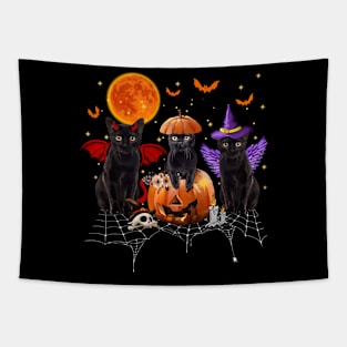 Black Cat Halloween, Black Cat Sitting On Pumpkin, Cat Halloween Tapestry