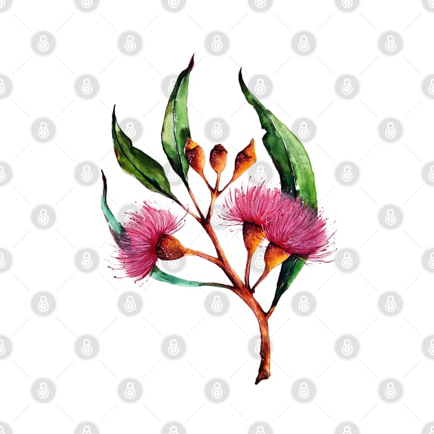 Pink Eucalyptus by Karliefie