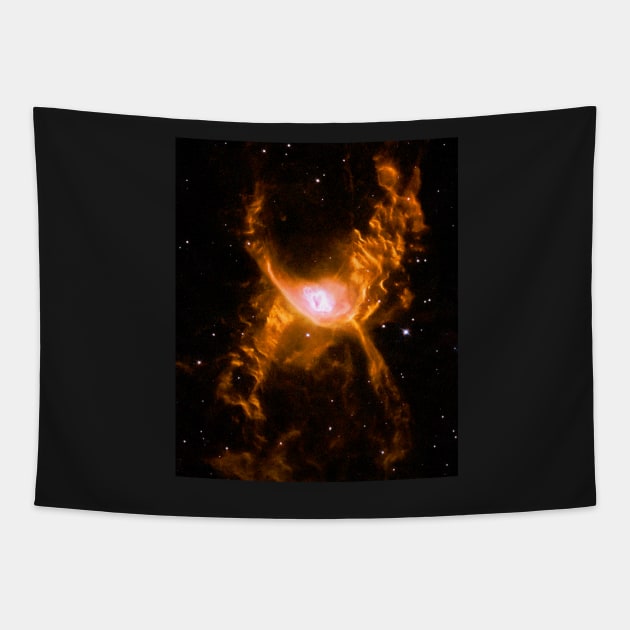 Giant Spider Nebula Tapestry by headrubble