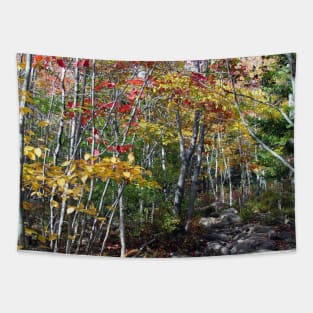 Fall Forests Tapestry