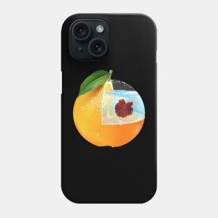 Orange Aquarium Fish Art Phone Case