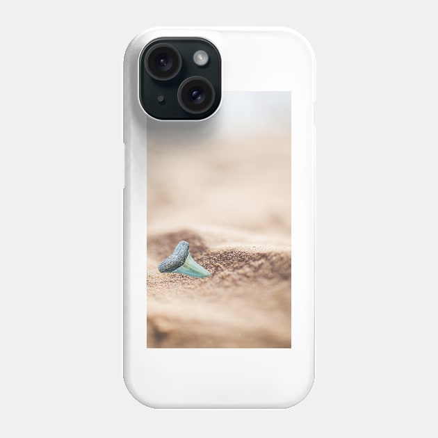 Shark Tooth in the Sand Phone Case by AtlanticFossils