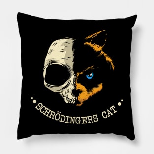 Schrödingers Cat Pillow