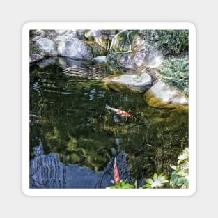 Reflecting Pond Magnet