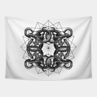 Hermetica Moderna - Medusa Intertwined Tapestry