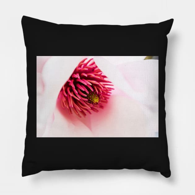 Delicate magnolia flower closeup Pillow by RosNapier