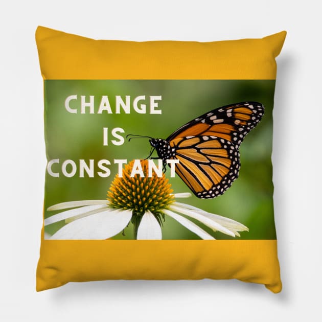 CHANGE IS CONSTANT Pillow by BOUTIQUE MINDFUL 