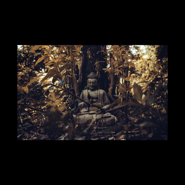 Buddha forest by Viewtiful_Art