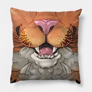 Orange and White Cat Mask Pillow