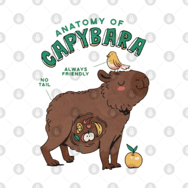 Anatomy of a Capybara by Digital-Zoo