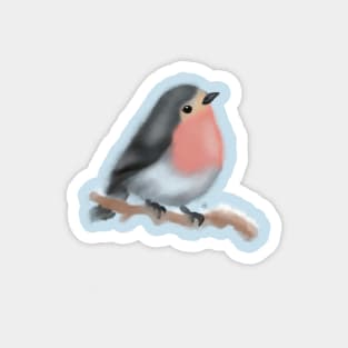 Robin the bird Magnet