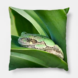 Frog Bliss Pillow