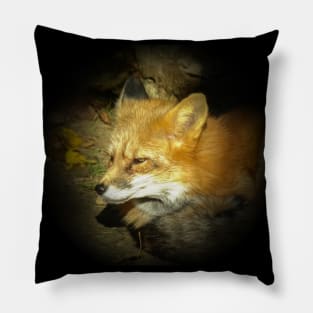 Red fox Pillow