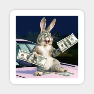 Rabbit holding Dollar Bills Magnet