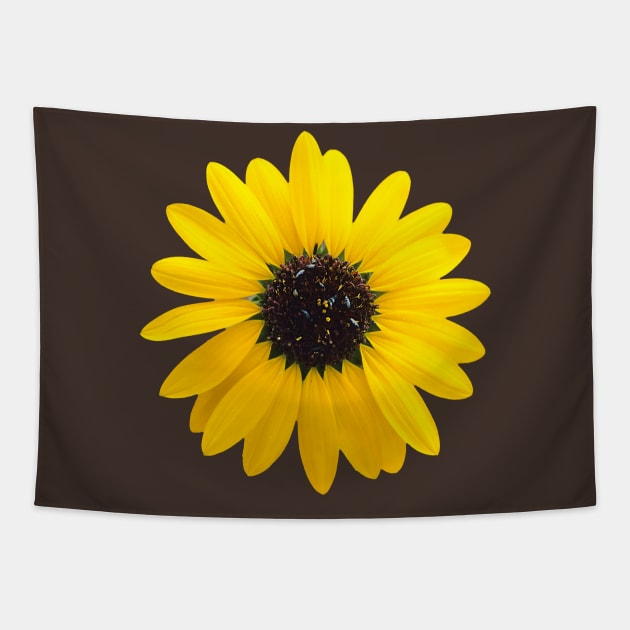 sunflower blossom design Tapestry by pholange