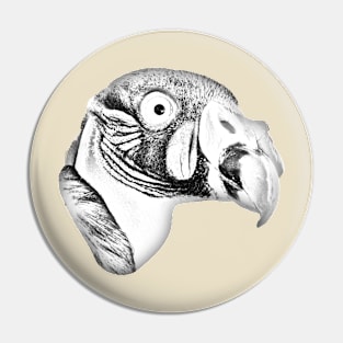 Drawing conversion of the head of a King Vulture Pin