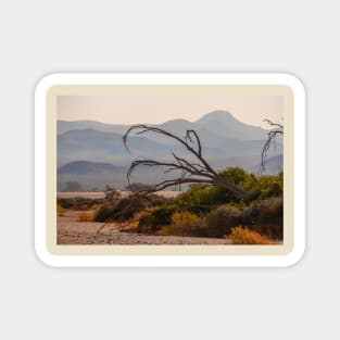 Namibia. Dead Tree with the Mountain Silhouettes. Magnet