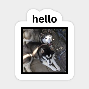 Cute Husky Dogs Simple Hello Caption Magnet