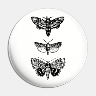 Moths Pin