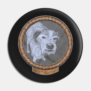 17 Year Old Dog (frame copper silver celtic rope) Pin