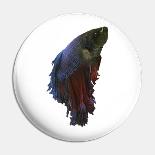 Betta fish Pin