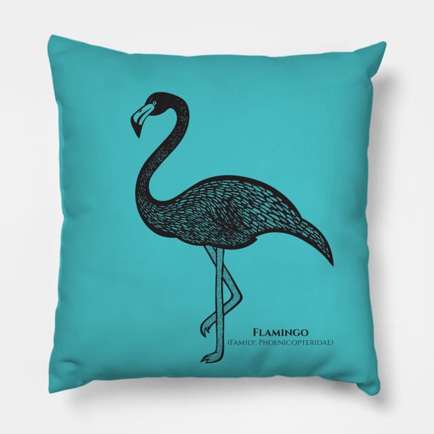 Flamingo with Common and Scientific Names - detailed bird design Pillow by Green Paladin