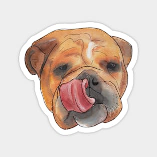 Kiss me - portrait of a bulldog Magnet