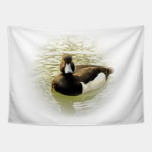 Greater scaup Tapestry