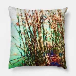 Aquatic vegetation, aquatic plant, aquatic plants, leaves, leaf, nature, botanical, tropical, exotic, water, summer, reflection, sun, sunny-day, spring, holiday, xmas, red, green, Pillow