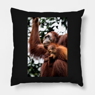 Mother & baby Orangutan, Borneo Pillow