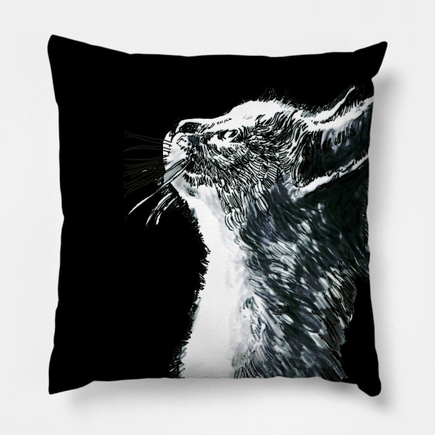 Cute Cat. Pillow by FanitsaArt