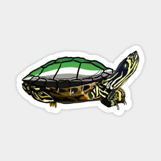 Aromantic Pride Turtle Magnet