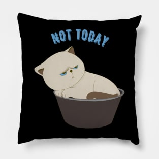 Lazy Cat Nope not Today funny sarcastic messages sayings and quotes Pillow