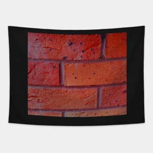 Beautiful deep rich coloured | coloured red brick wall Tapestry