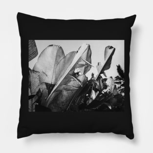 Tropical Palm Leaves in Black and White Pillow