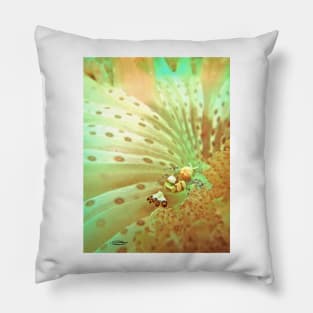 CNIDARIAN BIOTA Pillow