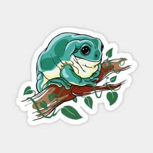 White's Tree Frog pet. Illustration for amphibian lovers Magnet