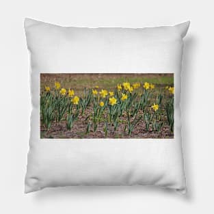 Daffodils Say Spring Pillow