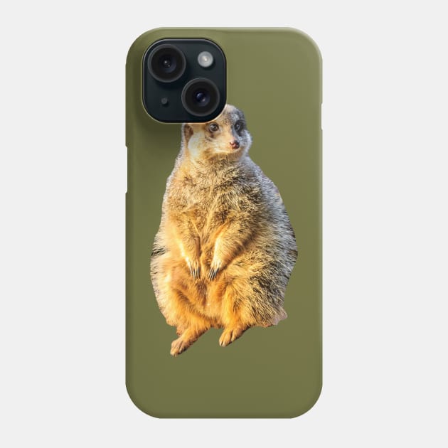 Meerkat on guard Phone Case by dalyndigaital2@gmail.com