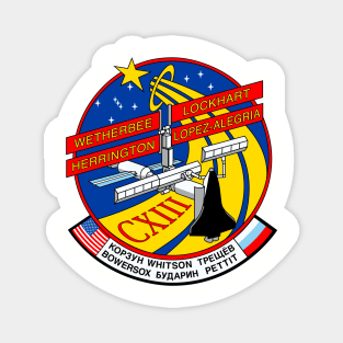 STS-113 Magnet