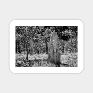 Termite Mounds 01 Magnet