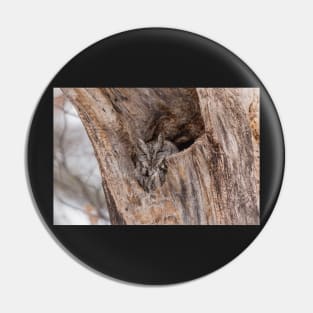 Eastern Screech Owl Pin