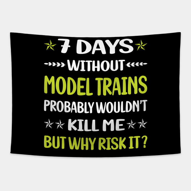 Funny 7 Days Without Model Train Trains Railroad Railway Tapestry by relativeshrimp