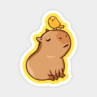 Capybara with a bird Magnet