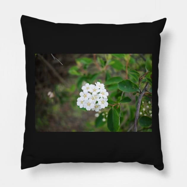 Spring White Flower Pillow by Anastasia-03