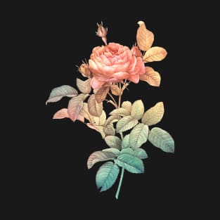 Vintage Rose T-Shirt